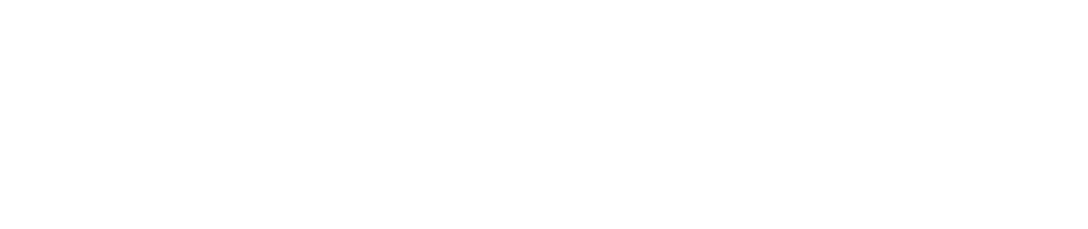 Armee Logo